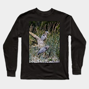 Two Hersons at Rest Among the Grasses Long Sleeve T-Shirt